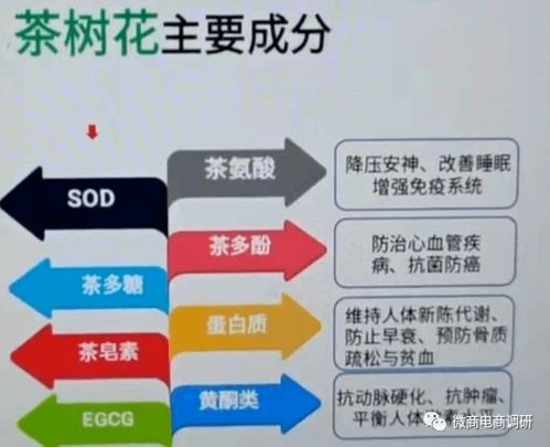 海外上市隱憂與行業(yè)變動 亞茶控股、合益全息對中農(nóng)綠源及日用百貨銷售的影響分析